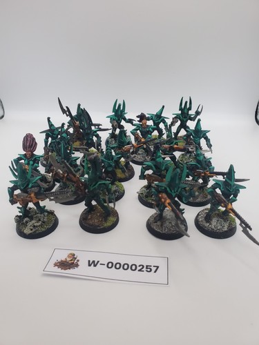 20x guerriers dark eldar - 20x,