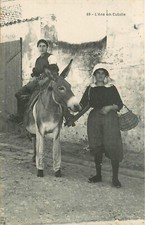 SAINT MARTIN DE RE - l'âne en Culotte  (769).