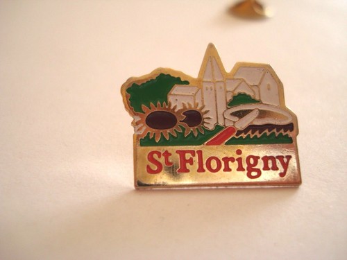 Pins rare eglise - rare, saint