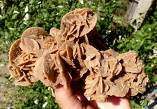 Grande Rose des Sables 15x11cm