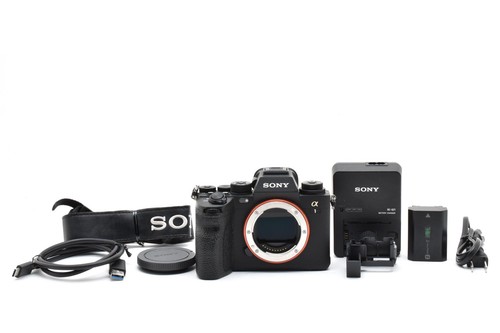 Sony ilce prise en - a1, (prise