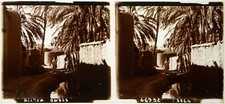 Algérie.Algeria.Biskra.Oasis.Porteuse.Vue stereo verre 6x13.Glass view Stereo.