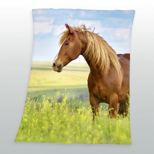 Couverture polaire pour - en,