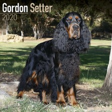 Calendrier 2020 - SETTER