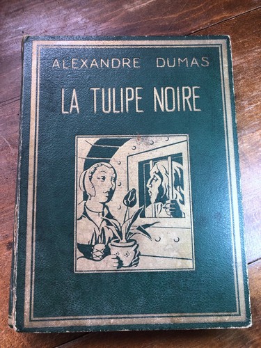 Tulipe noire alexandre - la,