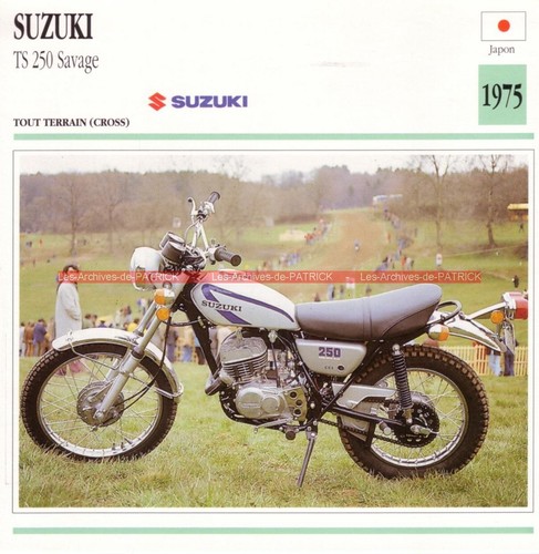 Suzuki 250 savage ts250 - suzuki, ts