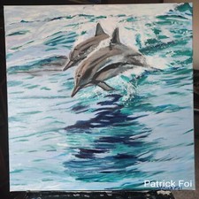 '" Deux Dauphins Communs"