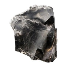 Jais Pierre fine Fossile rare