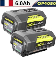 2X 36V Batterie pour Ryobi 6Ah
