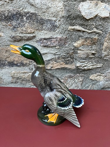 Ancien grand canard - grand, en
