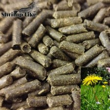 Pellets nourriture pour crevettes d'aquarium - Alimentation complémentaire