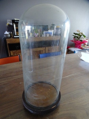 Verre globe mariee - verre,