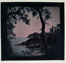 2 autochrome paysage mer arbre photo photographie