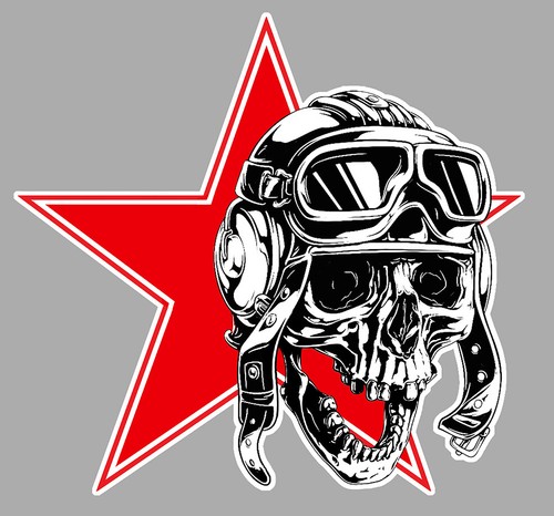 Sticker tete mort flag - mort,