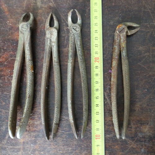 Lot extracteurs de dent - de,