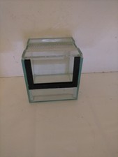 terrarium 10x10x10 Phidippus 