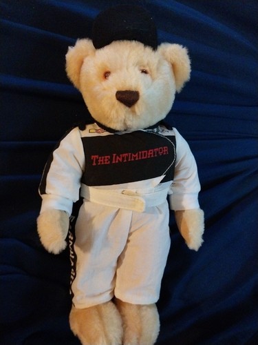 Vtg dale earnhardt nascar - vtg,