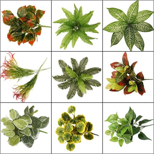 Terrarium reptile plante - reptile,