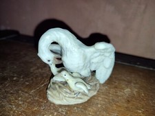 groupe cygne et cygnets en