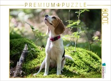 CALVENDO Puzzle
