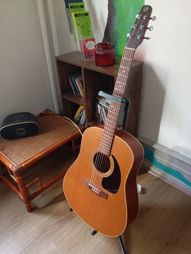 Guitare folk seagull cedar - guitare,