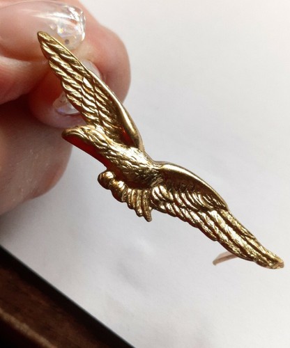 M45 insigne militaire aigle