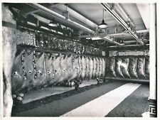 Chambre froide viande photo argentique époque photographe Ph PICHON