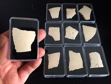 Coquille d'oeuf d'Oiseau