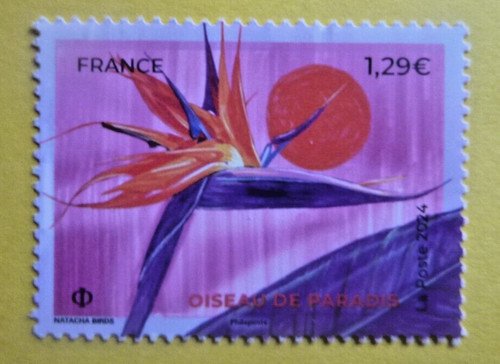 2024 neuf 5750 oiseaux - 5750,