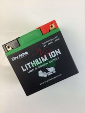 Batterie Au Lithium SKYRICH Tondeuse À Gazon Capacité 32Ah Tension 12V