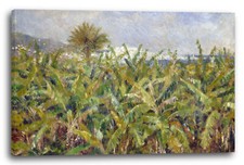 Toile/Cadres Pierre-Auguste