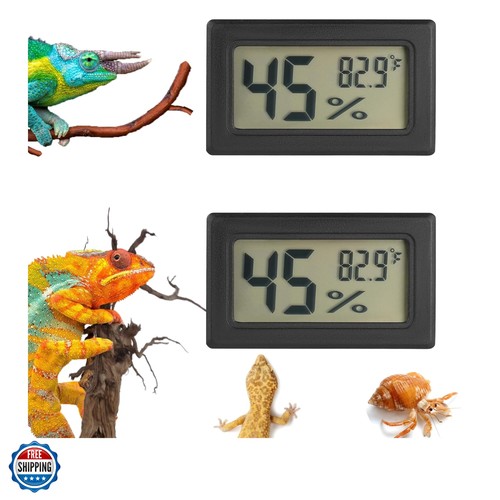 Reptile thermometer and - reptile,
