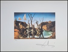 Salvador Dali Swans Reflecting