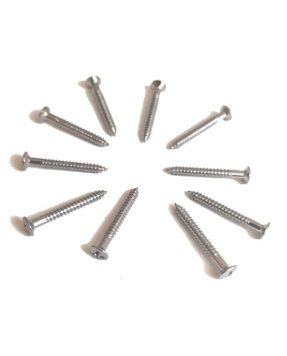 Vis chrome 25 mm - 10, 3