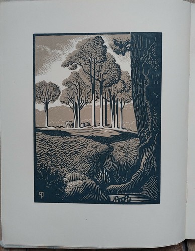 Jacques chevalier foret - chevalier, la