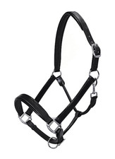 Licol Pour Cheval Cuir