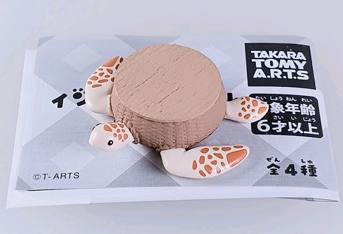 Tortue mer rotin - tortue, et