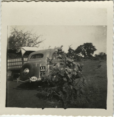 Photo ancienne vintage - ancienne,