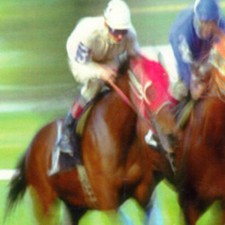 METHODE de TURF : MAGIC TURF de Marcel Lemeur (Courses,PMU)