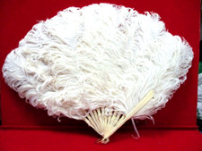 Ancien éventail en plumes d' autruche (34 cm)