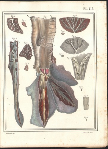 1825 gravure originale - 1825,