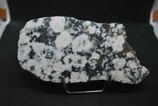 DIORITE ORBICULAIRE DU TALLANO