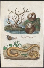 1833 Gravure aquarellée