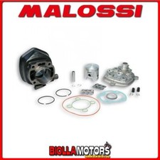 318284 CYLINDRE KIT MALOSSI