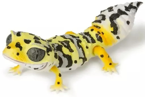 Mini figurine collection - figurine,