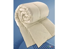 Duvet D'Oie Hivernal Modèle