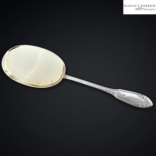 Cuillère glace service - cuillère, de