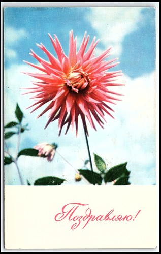 Carte postale ancienne - , 1967