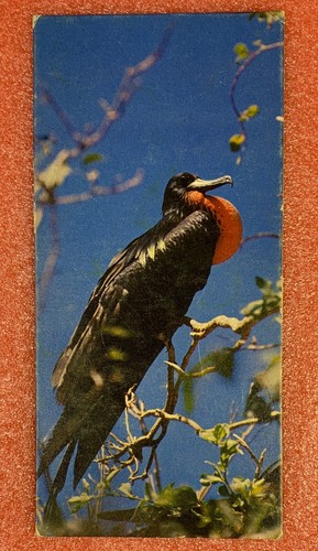 Carte merveilles monde - du,