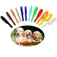 Colliers Identification Chiot